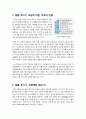 [알몸투시기]알몸투시기, 무엇이 문제인가? - 알몸투시기(전신스캐너) 설치 논란의 배경과 주요 쟁점 및 찬성 반대 의견과 나의 생각 정리 9페이지