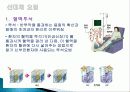 만성 신부전  35페이지