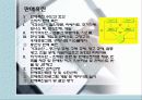 [기업과 사회] 소비자에대한 조사보고서 47페이지