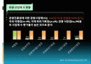 한국의관광산업문제점및해결방안 8페이지