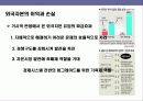 외국자본의 국내경제 영향에 대한이해 12페이지