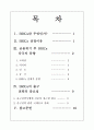 브릭스(Brics)국가의 위기 대응방법 2페이지