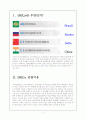 브릭스(Brics)국가의 위기 대응방법 3페이지