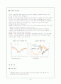 브릭스(Brics)국가의 위기 대응방법 8페이지