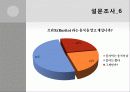브리또 사업계획서 31페이지