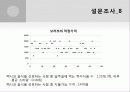 브리또 사업계획서 33페이지