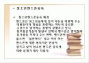 청소년 약물 핸드폰 인터넷중독 29페이지