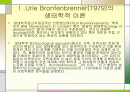 생태학적 이론 PPT자료  2페이지