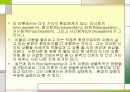 생태학적 이론 PPT자료  3페이지