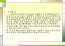 생태학적 이론 PPT자료  12페이지