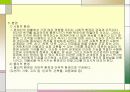 생태학적 이론 PPT자료  13페이지