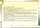 생태학적 이론 PPT자료  18페이지