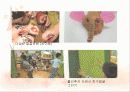유아미술교육과  다른교과와의 통합에 대한 분석 PPT(29페이지) 19페이지