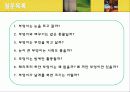 유아의 미술교육프로그램으로서 부엉이 PPT(사례) 6페이지