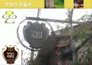 유아의 미술교육프로그램으로서 부엉이 PPT(사례) 8페이지