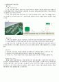 창의적 물건찾고 장/단점 개선사항 분석 레포트 5페이지