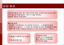 사법권력의 충돌에 대한 분석 4페이지