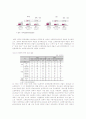 청소년에 대한 프로그램기획(청소년의 인터넷 중독과 가족관계 회복프로그램) 7페이지
