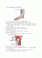 발의 과도한 Pronation이나 Supination이 야기할 수 있는, 근골격계 문제와 이를 보조기로 해결할 수 있는 방법 8페이지