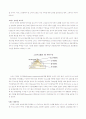 새로움의 또 다른 의미 [스와치] 2페이지