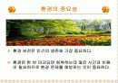 환경 오염에 대하여 3페이지