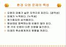 환경 오염에 대하여 5페이지