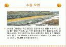 환경 오염에 대하여 7페이지