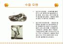 환경 오염에 대하여 8페이지