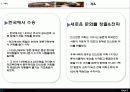 국제문화 전파사례 8페이지