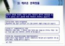 국제문화 전파사례 13페이지