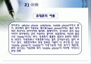 국제문화 전파사례 18페이지