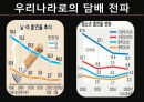 국제문화 전파사례 11페이지