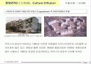 국제문화 전파사례 12페이지