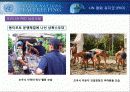 유엔평화유지활동(PKO) 10페이지