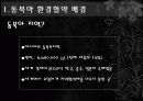 동북아 환경협력 5페이지