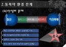 동북아 환경협력 13페이지