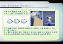 탄소배출권 3페이지