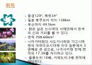 쓰시마 섬 3페이지