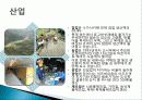 쓰시마 섬 11페이지