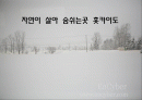 일본지역연구 훗카이도 1페이지