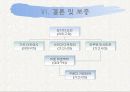 야마구치 현과 가고시마 현 14페이지