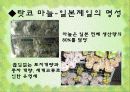 일본지역연구 아오모리현 10페이지