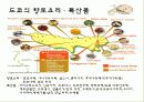 일본지역연구 도쿄 7페이지