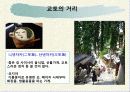일본지역연구 교토 11페이지