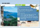 일본지역연구 교토 6페이지