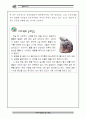백제(공주,부여) 문화유산 자료집 8페이지