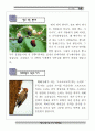 숲체험 자료집 15페이지