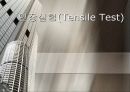 인장실험(Tensile Test)결과 및 고찰 1페이지