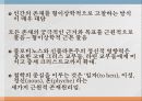 신플라톤주의 플라티노스 4페이지