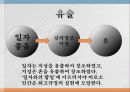 신플라톤주의 플라티노스 11페이지